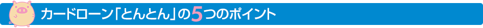 カードローン「とんとん」の5つのポイント