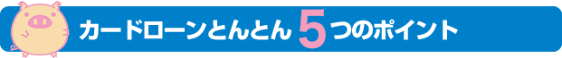 カードローンとんとん5つのポイント